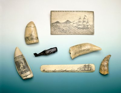 Graveret kaskelottand, midten af det 19. århundrede (hvaltand) af Unknown artist