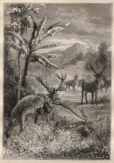 Ekspedition Jorden rundt (1785-1788) af Jean Francois Galaup de La Perouse (1741-1788): jagtteknik for indianerne i Monterey-bugten (Californien) - illustration fra "The Grands Mariners of the 18th century" af Unknown artist