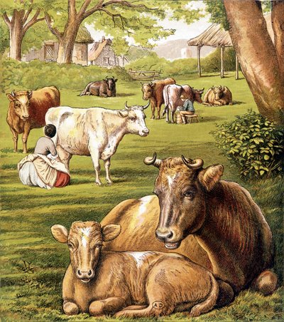 Landmænd, der trækker mælk. 19. århundrede. af Unknown artist