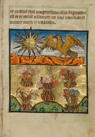 Fem bundter blomster af Unknown artist