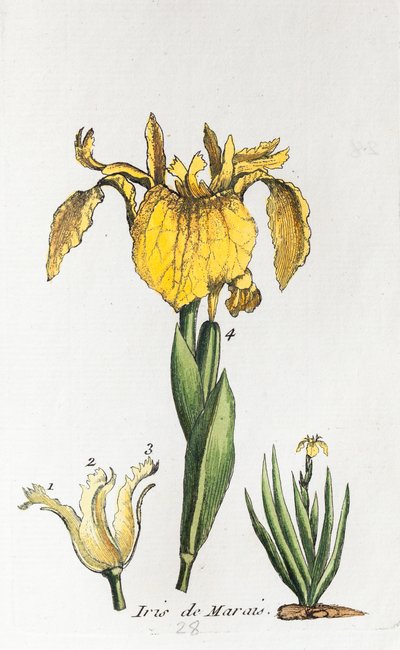 Flag af Unknown artist