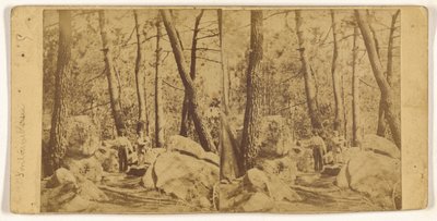 [Fontainebleau] af Unknown artist