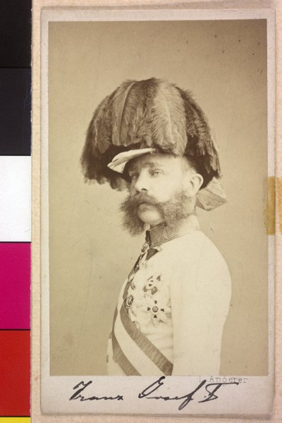 Franz Joseph I af Unknown artist
