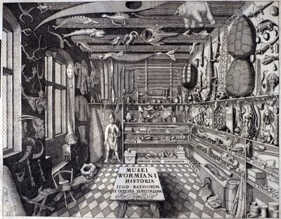 Frontispice af "Musei Wormiani Historia"" viser det indre af kabinettet af kuriositeter af Ole Worm eller Olaus Wormius af Unknown artist