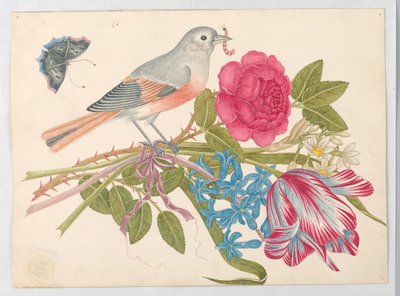 Grå og koralfugl på buket med rose, tulipan, tusindfryd og forglemmigej, med sommerfugl af Unknown artist