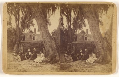 [H(arriet) B(eecher) Stowes hjem i Florida]. af Unknown artist