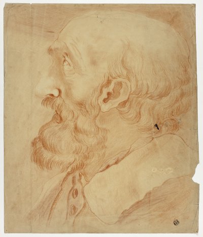 Hoved af skægget mand i profil af Unknown artist