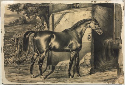 Hest foran en lade (verso) af Unknown artist