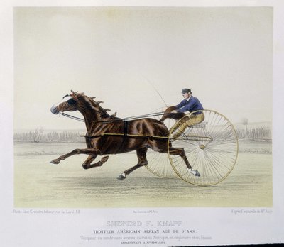 Ridning: Hyrde F. Knapp, traver - i "" kentauren"" af Unknown artist