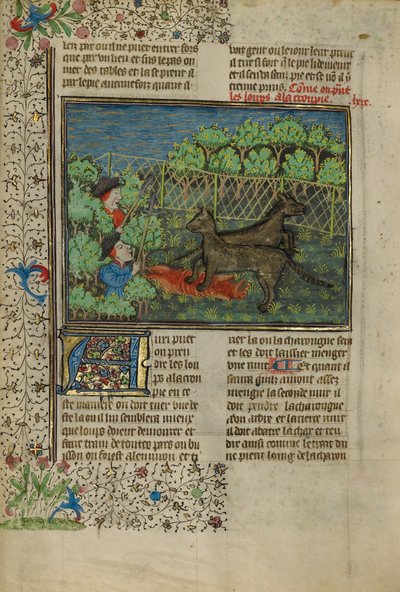 Jægere tiltrækker ulve med ådsler af Unknown artist