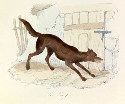 Illustration fra bogen "Buffons samlede værker": Les animaux: Le loup (gravering) af Unknown artist