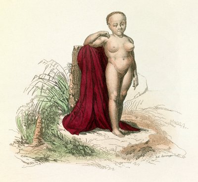 Illustration fra bogen "Buffons samlede værker": Menneskets naturhistorie: Hvid negerinde (kobberstik) af Unknown artist