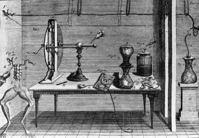 Illustration af eksperimenter af Luigi Galvani, italiensk fysiker og læge (1737 - 1798), der forklarer passagen af elektrisk strøm, der bevæger benene på en frø. af Unknown artist