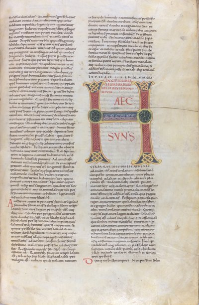 Incipit af Femte Mosebog, Capulettera med inskriptionen Haec sun, 11. århundrede (miniature, membranhåndskrift) af Unknown artist