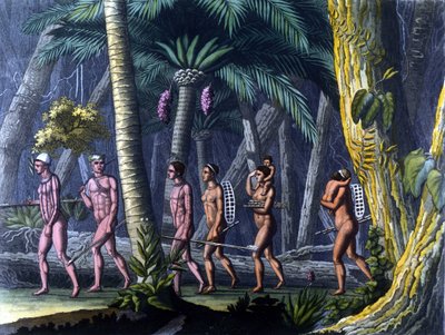 Indiens Puris dans la Foretdani af Unknown artist
