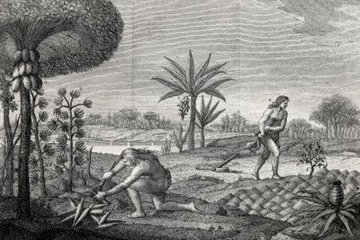 Indfødte arbejder på jorden i Orenoque-bassinet i Colombia. Stik 1780 af Unknown artist