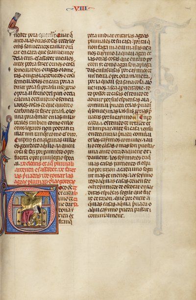 Begyndelse T: To mænd, der graver af Unknown artist