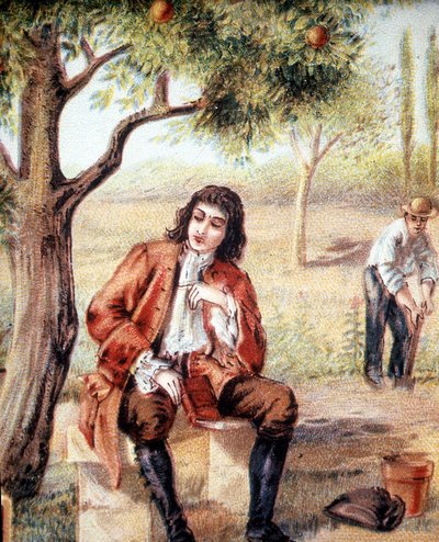 Isaac Newton (1642-1727), engelsk matematiker, fysiker og astronom, finder teorien om gravitation ved at observere faldet af et æbletræ, en illustration af det 19. århundrede. af Unknown artist