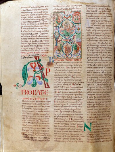 Jesses træ. Miniaturemanuskript "Lectiaire de Citeaux"" af Unknown artist