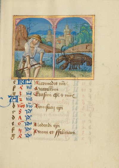 Juni-kalenderside; Klipning; Kræft af Unknown artist