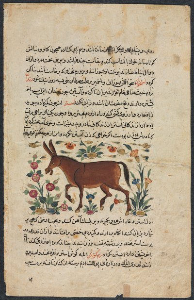 Andet (fundet), fra en nezhantami-besætning (fremragende bog om vi vil ankomme) fra Shahmarda Ibn Abi al-Khair (forsa) af Unknown artist