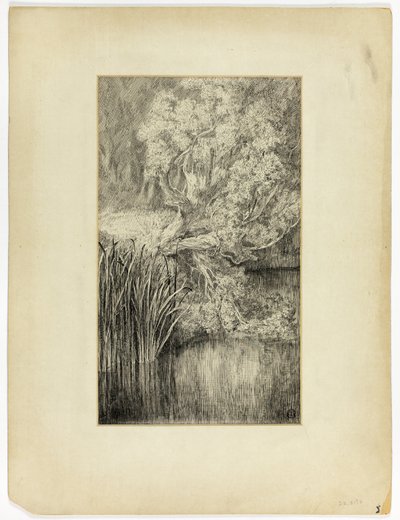Lille dam i skoven af Unknown artist
