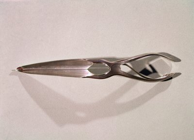 Medicinsk instrument: en dilatator af Unknown artist
