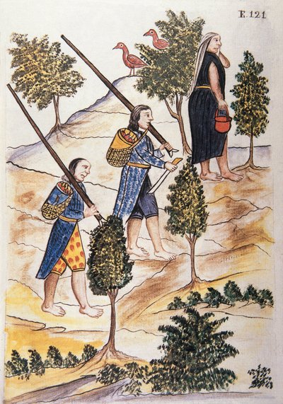 Motilones indianere, der går på jagt, fra bogen "Trujillo del Peru" eller "Códice Martínez Compañón", af Baltazar Martinez Compañón y Bujanda, biskop af Trujillo (1782-1785) af Unknown artist