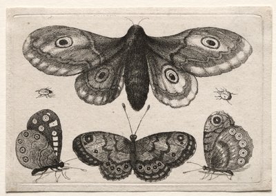 Scarab-fluer og orme af forskellige figurer og former: en møl, tre sommerfugle og to biller af Unknown artist