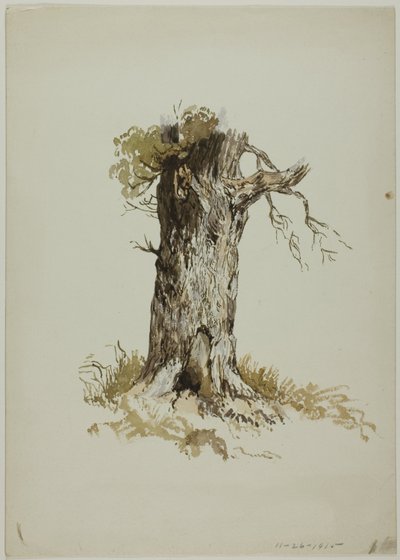 Gammel træstamme (recto); Gammel træstamme (verso) af Unknown artist