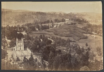 Ootacamund. Nilgeris af Unknown artist