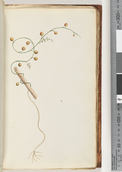 Side 52. Uidentificeret anlæg af Unknown artist