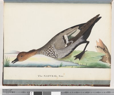 Side 88. And af Unknown artist