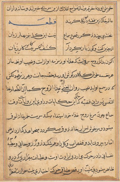 Side fra Tales of a Parrot (Tuti-nama): tekstside af Unknown artist