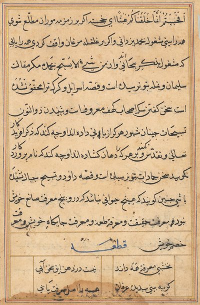 Side fra Tales of a Parrot (Tuti-nama): tekstside af Unknown artist