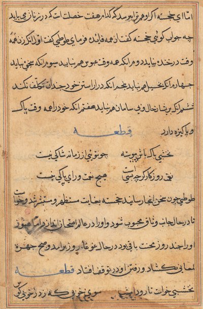 Side fra Tales of a Parrot (Tuti-nama): tekstside af Unknown artist