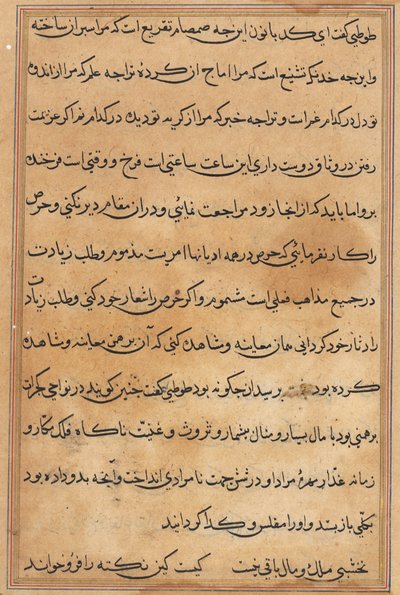 Side fra Tales of a Parrot (Tuti-nama): tekstside af Unknown artist