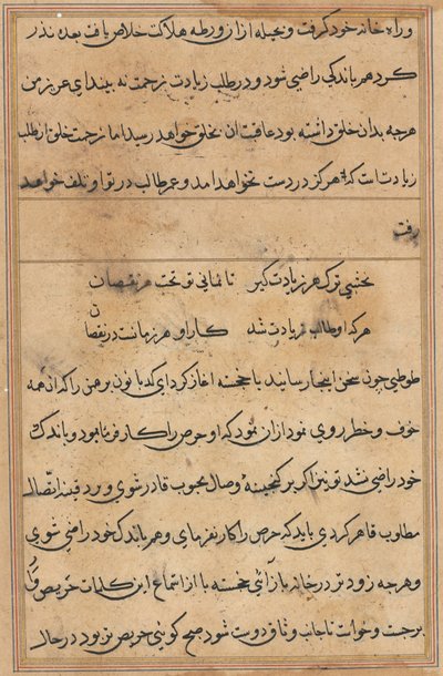 Side fra Tales of a Parrot (Tuti-nama): tekstside af Unknown artist