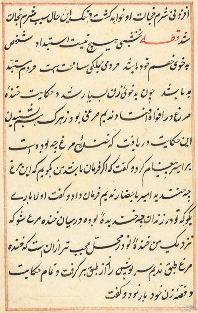 Side fra Tales of a Parrot (Tuti-nama): tekstside af Unknown artist