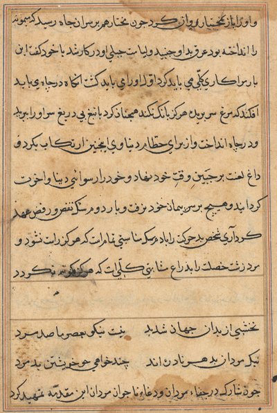 Side fra Tales of a Parrot (Tuti-nama): tekstside af Unknown artist