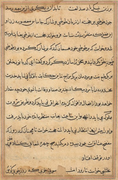 Side fra Tales of a Parrot (Tuti-nama): tekstside af Unknown artist