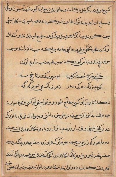 Side fra Tales of a Parrot (Tuti-nama): tekstside af Unknown artist