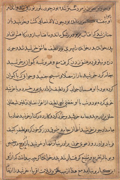 Side fra Tales of a Parrot (Tuti-nama): tekstside af Unknown artist