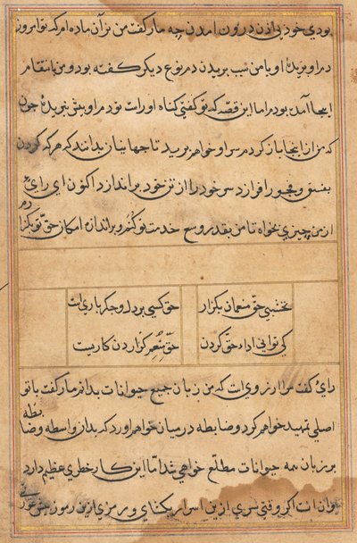Side fra Tales of a Parrot (Tuti-nama): tekstside af Unknown artist