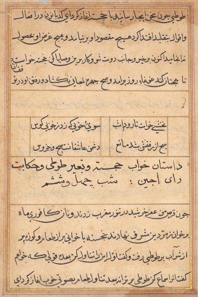 Side fra Tales of a Parrot (Tuti-nama): tekstside af Unknown artist