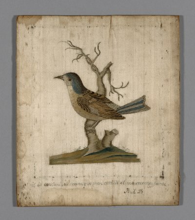 Billede af en fugl af Unknown artist