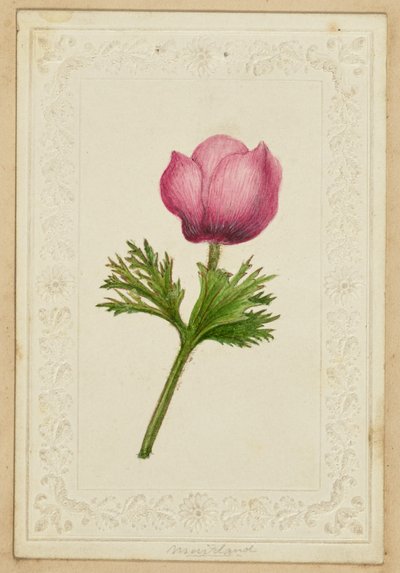 [Pink flower note card] af Unknown artist