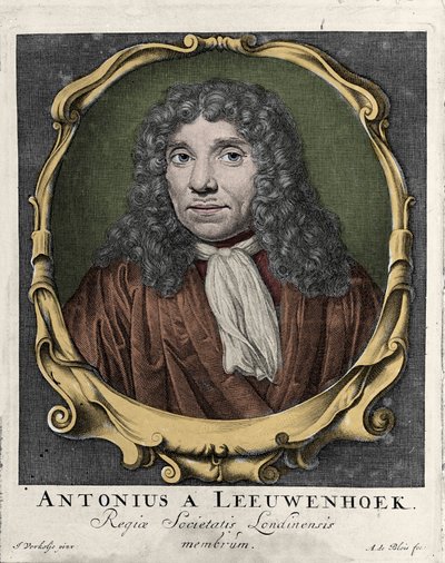 Portræt af Antonie Van Leeuwenhoek eller Anton van Leeuwenhoek, eller Leeuwenhoek eller Leeuwenhoeck. hollandsk naturforsker (1632-1723). gravering af 1722. af Unknown artist