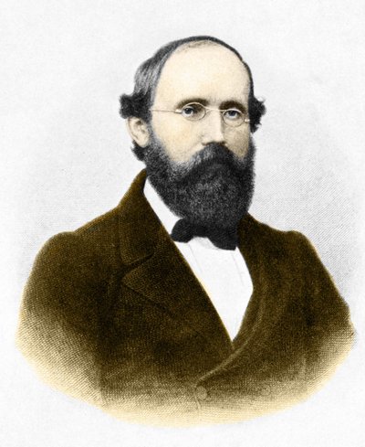 Portræt af Bernhard Riemann (1826-1866.) tysk matematiker af Unknown artist