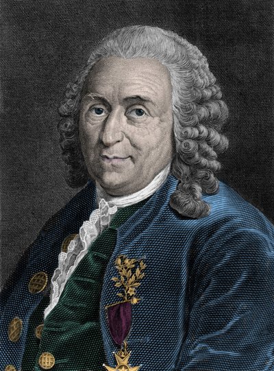 Portræt af Charles Linne (Carl von Linne, Linneus 1707-1778), svensk naturforsker. Indgravering af det 19. århundrede. af Unknown artist